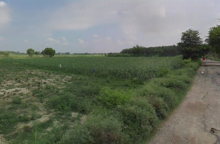 Bareilly, Uttar Pradesh, India