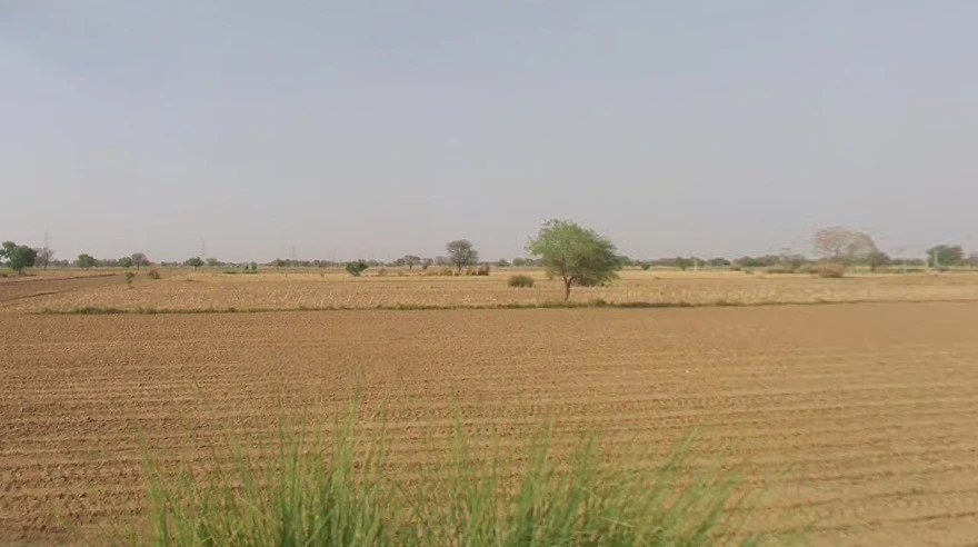 NH 8 Bypass Rd, Burmese Colony, Jaipur, Rajasthan, India