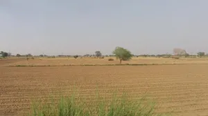 NH 8 Bypass Rd, Burmese Colony, Jaipur, Rajasthan, India preview 2