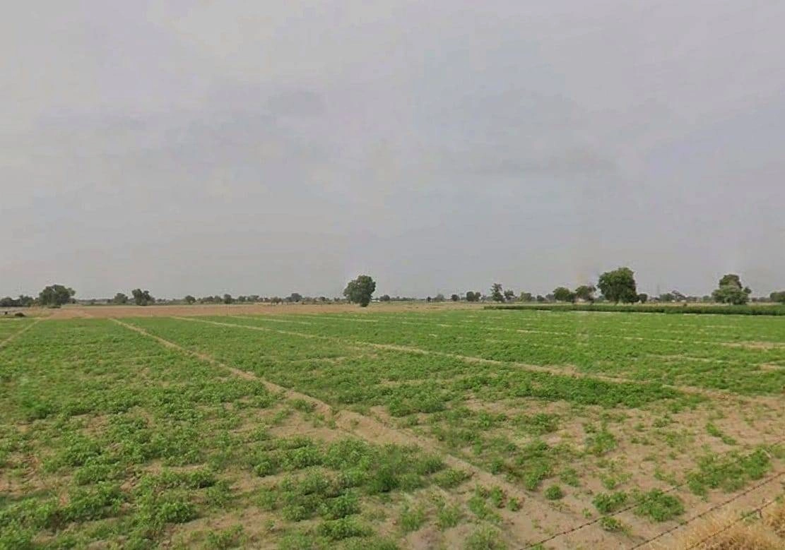 Rawatsar, Rajasthan 335524, India