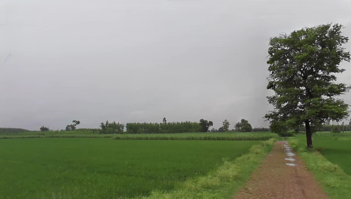Behrampur, Haryana 135101, India
