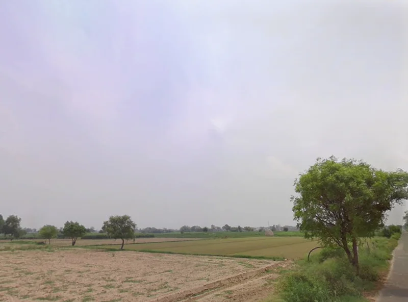 Basanti Hwy, Auropota, Dhapa, Kolkata, West Bengal, India preview 2