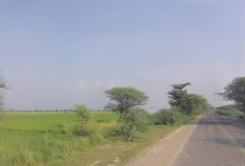 Bhagosa, Uttar Pradesh 281502, India