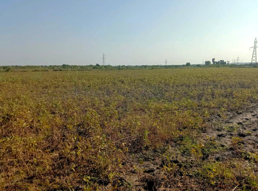 Barnagar, Madhya Pradesh 456771, India