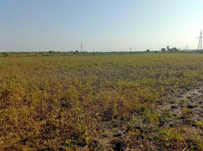 Barnagar, Madhya Pradesh 456771, India preview 2