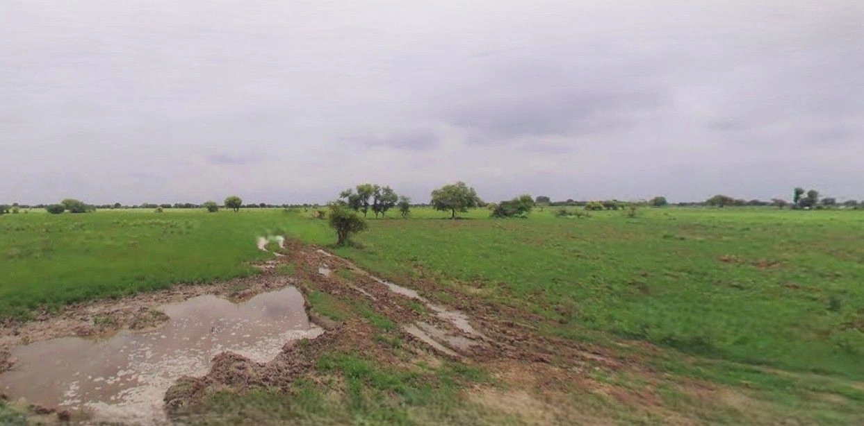 Bazpur, Uttarakhand 262401, India