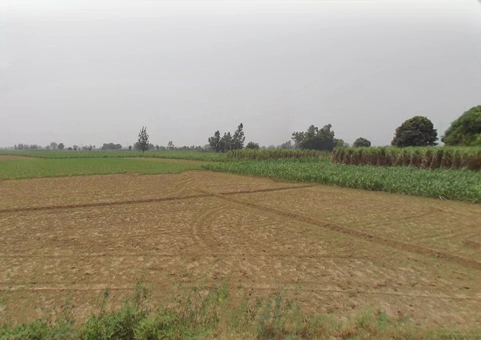 Akbarpur Garhi, Uttar Pradesh 250401, India preview 2