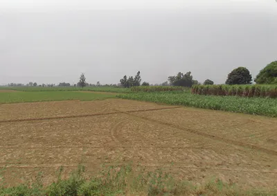 Akbarpur Garhi, Uttar Pradesh 250401, India preview 2