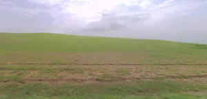 Jawasiya, Madhya Pradesh 458002, India preview 2