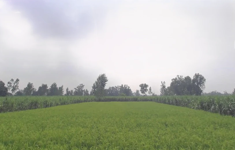Garh Mukteshwar, Uttar Pradesh 245205, India