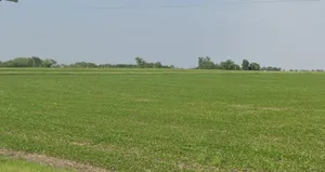 Chinor, Madhya Pradesh 475110, India preview 2