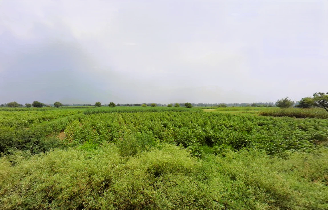Lalit Khera, Haryana 126114, India