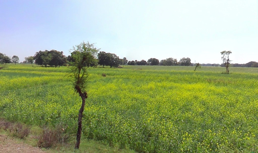 Nawagaon, Chhattisgarh 492101, India