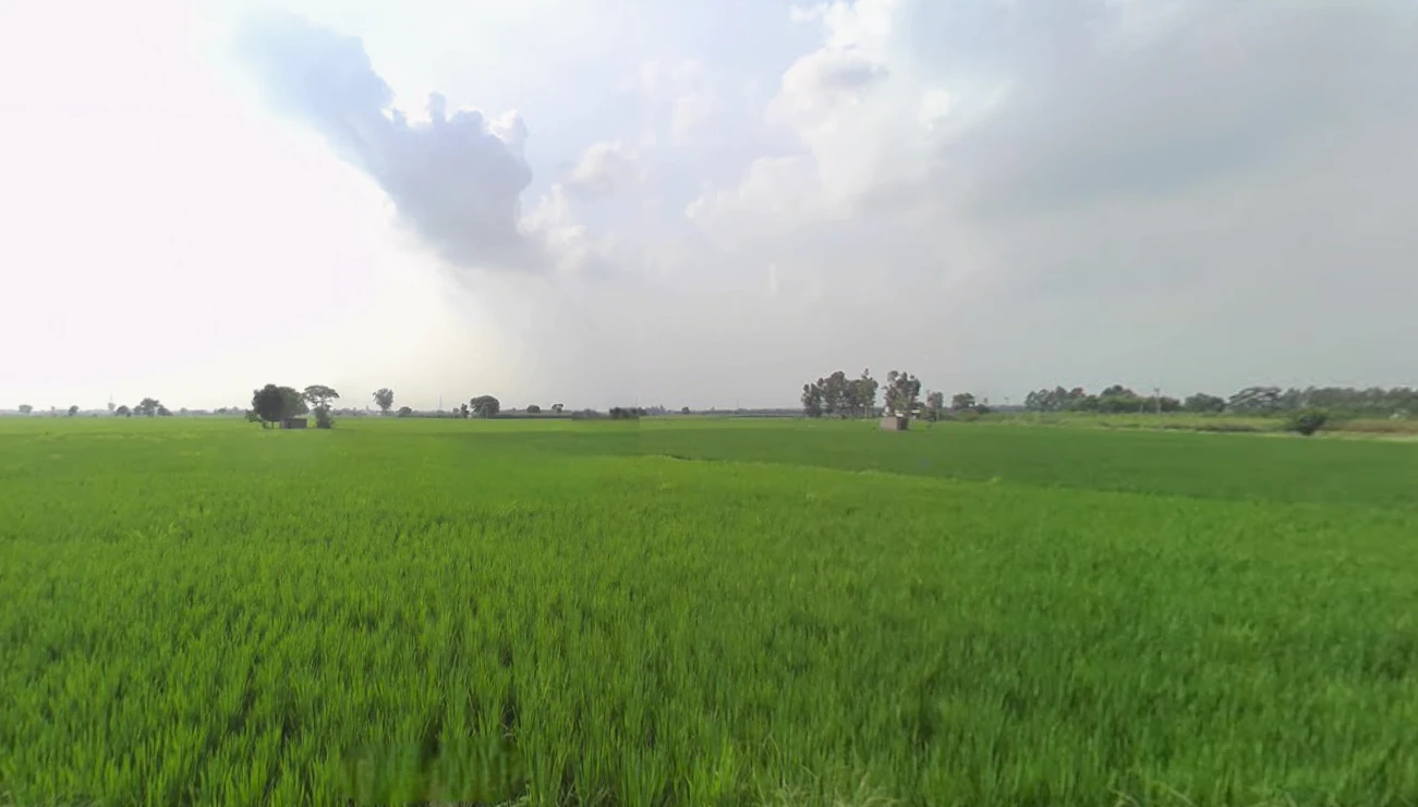 Morinda - Chunni Rd, Bhateri, Punjab, India