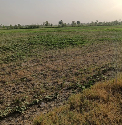 Malout, Punjab 152107, India