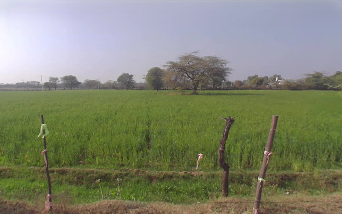 JW5V+XH9, Chaksu, Rajasthan 303901, India