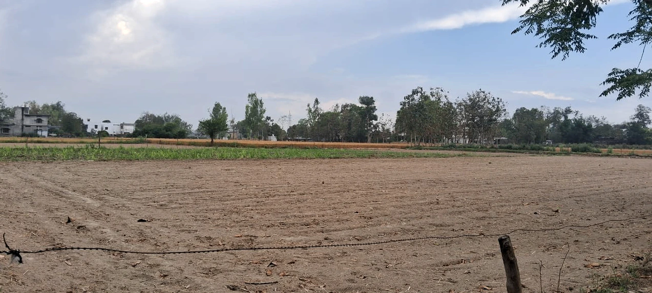 Barnagar, Madhya Pradesh 456771, India