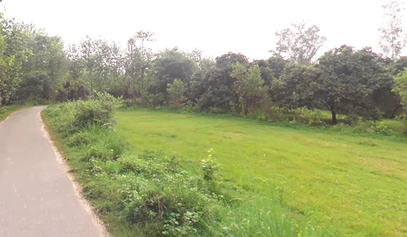 Behat, Uttar Pradesh 247121, India