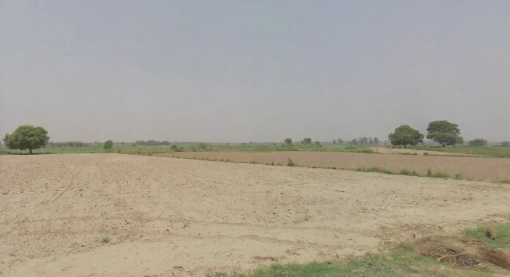Husainpur, Uttar Pradesh 201206, India