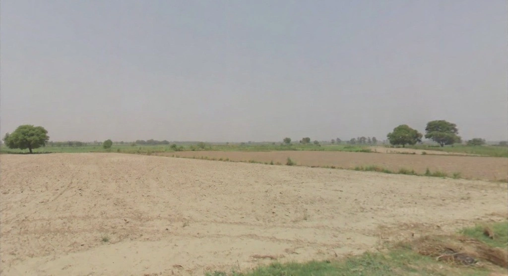 Husainpur, Uttar Pradesh 201206, India