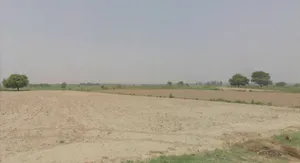 Husainpur, Uttar Pradesh 201206, India preview 3