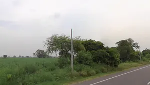 Baghpat, Uttar Pradesh 250609, India preview 2