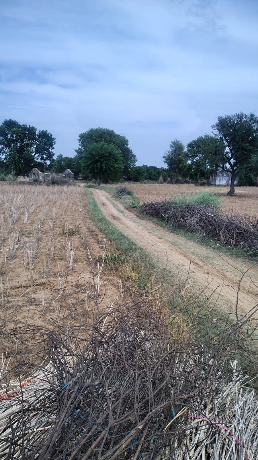 Maujpur, Rajasthan, India