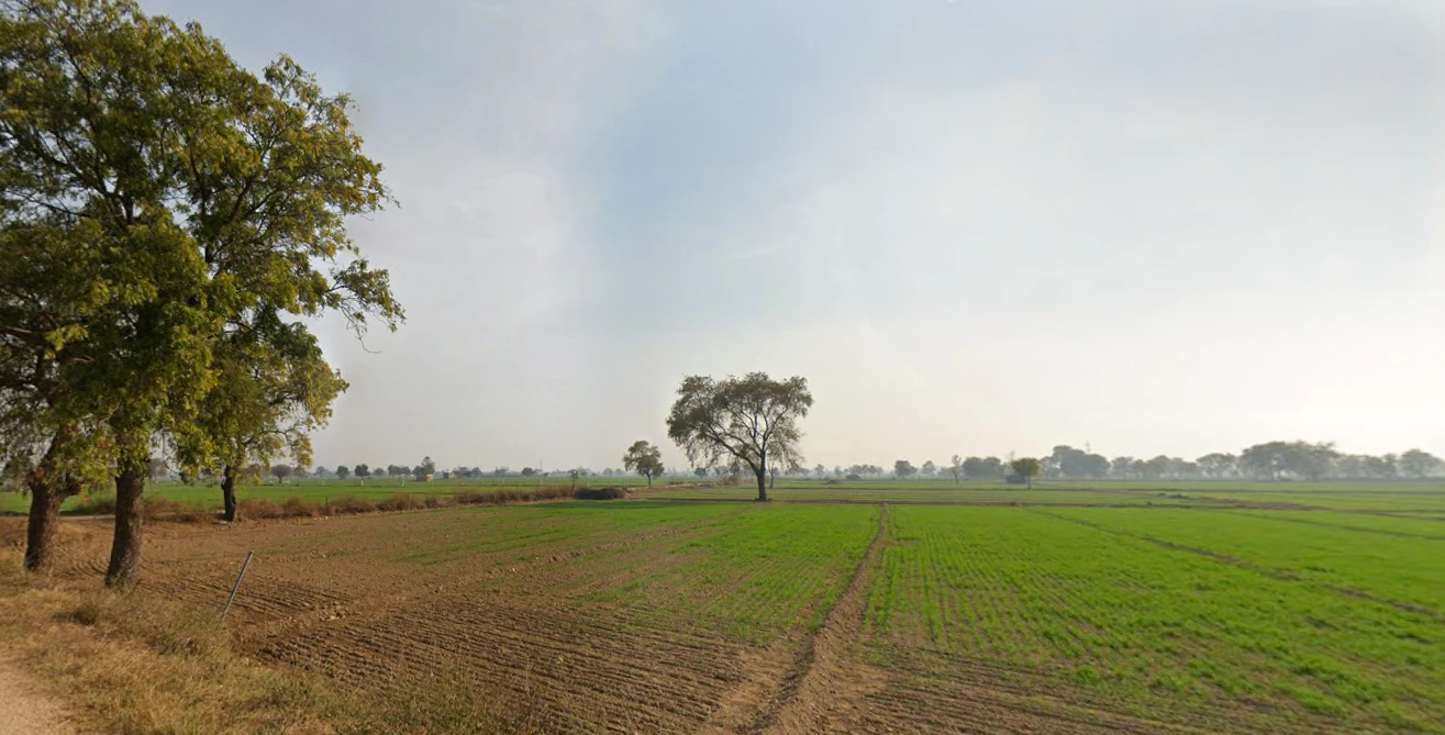 Kaimri, Haryana 125005, India