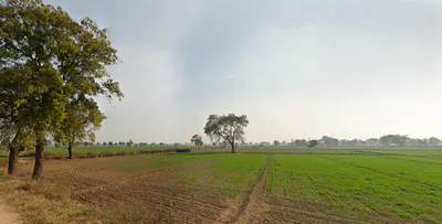 Kaimri, Haryana 125005, India preview 2