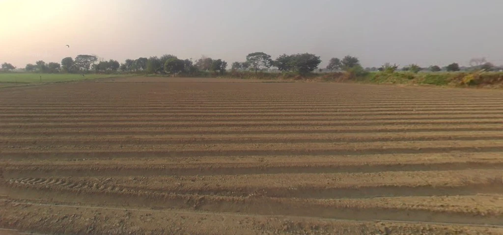 Meloj, Gujarat 384151, India