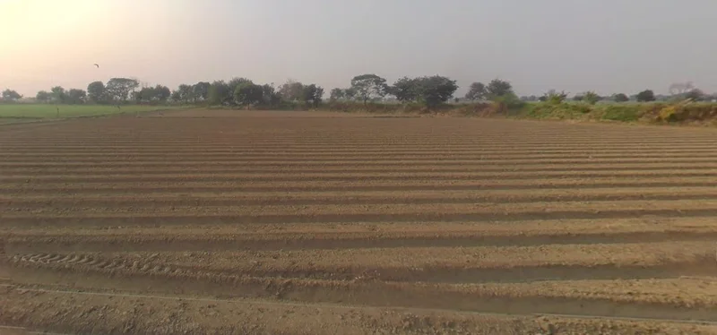 Meloj, Gujarat 384151, India preview 2