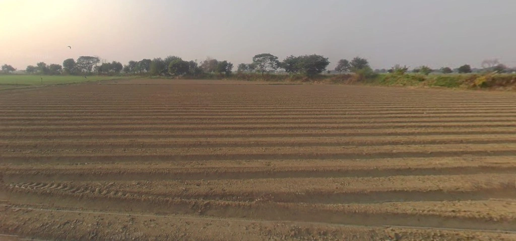 Meloj, Gujarat 384151, India