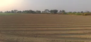 Meloj, Gujarat 384151, India preview 2