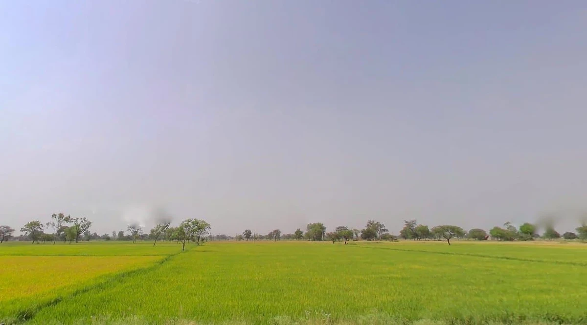 Khamariya, Chhattisgarh 490020, India