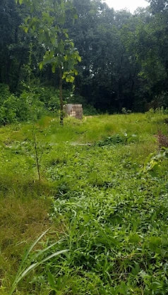 P5J2+W38, Palghar, Malwada, Maharashtra 421303, India - Photo 2
