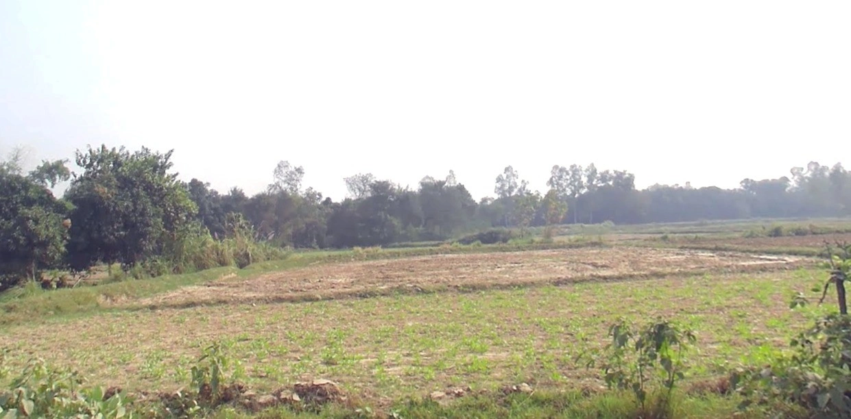 Suraiya Nagar, Madhya Pradesh 462042, India