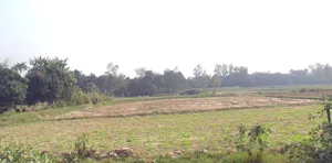 Suraiya Nagar, Madhya Pradesh 462042, India preview 3