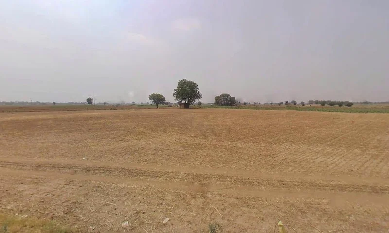 Dhahlavas, Rajasthan 301001, India preview 2