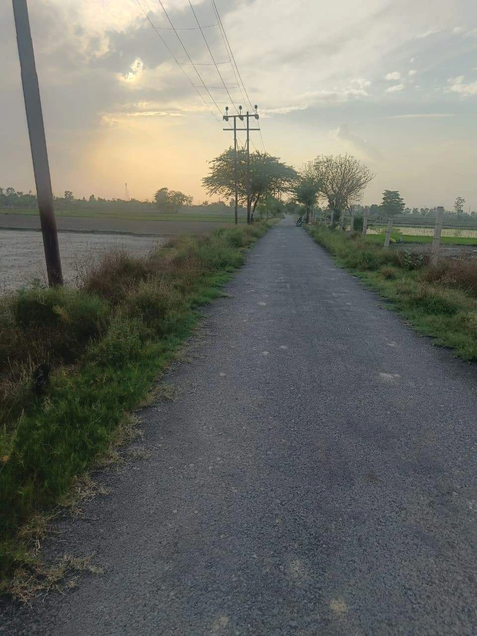 Aou, Rajasthan, India