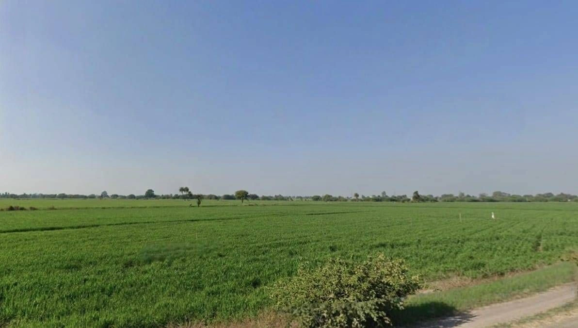 Chonsala, Madhya Pradesh, India