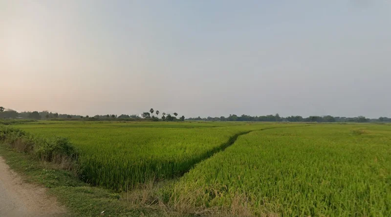 Beliatore, West Bengal 722203, India preview 2