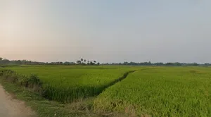 Beliatore, West Bengal 722203, India preview 2