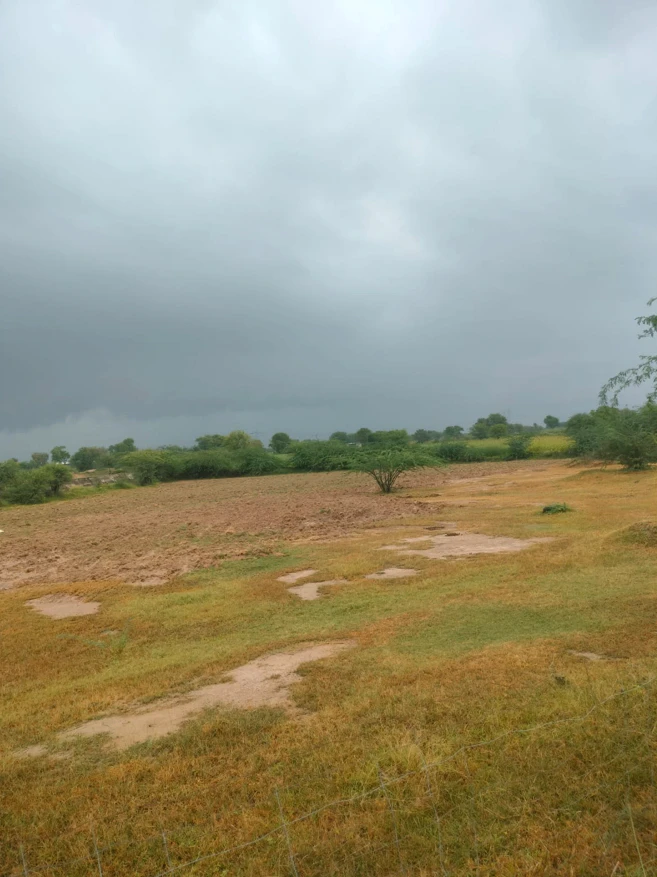 MH5J+R92, Jaipur, Ladana, Rajasthan 303005, India
