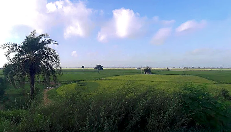 Jewar, Uttar Pradesh 203135, India preview 2