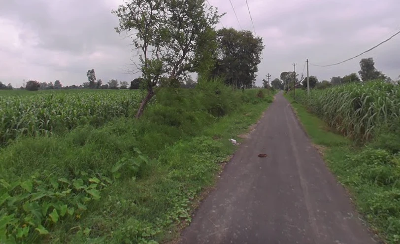 Jansath, Uttar Pradesh 251314, India