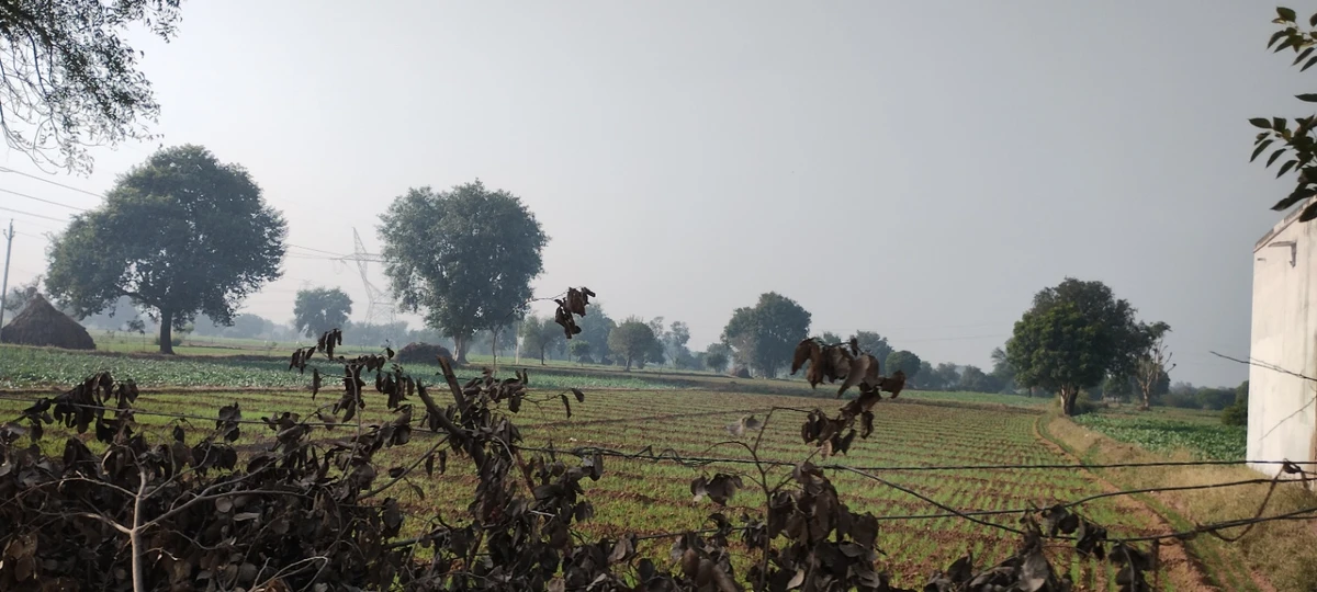 Mathura, Uttar Pradesh, India