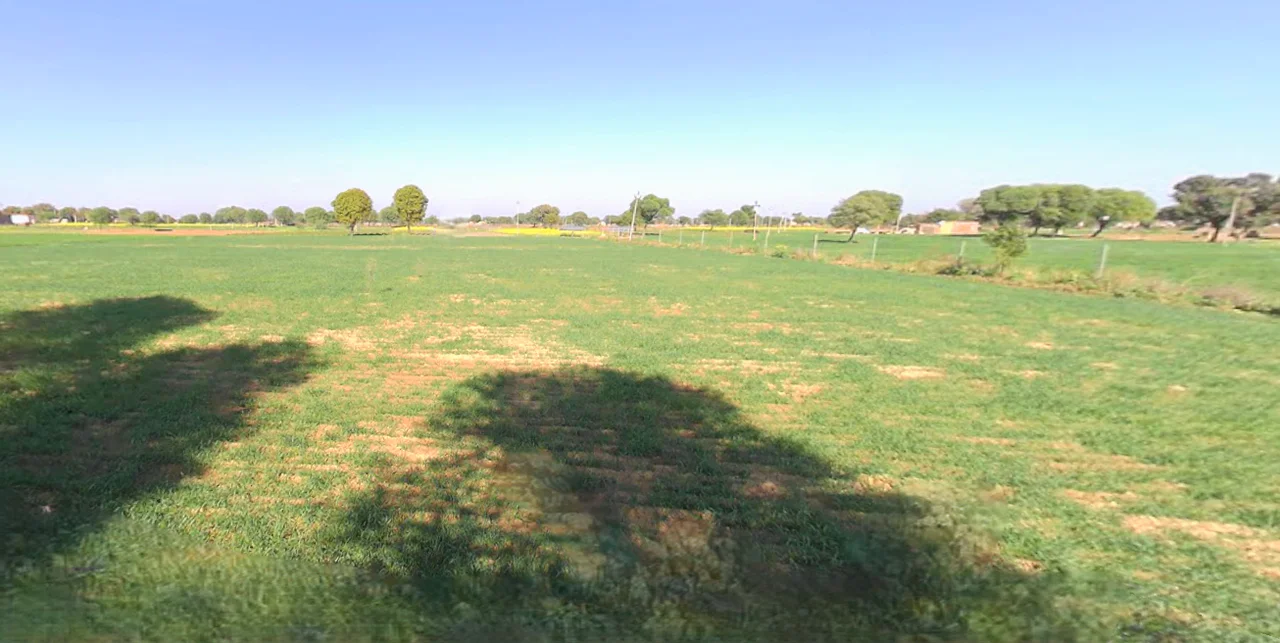 Nangal Koju, Rajasthan, India preview 3