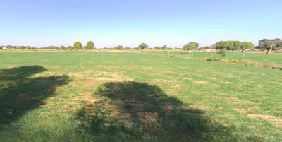 Nangal Koju, Rajasthan, India preview 3