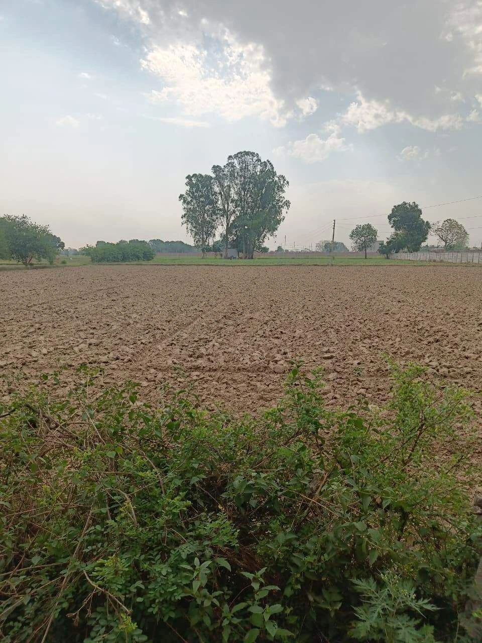 Chhata, Uttar Pradesh 281401, India