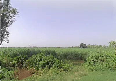 Pepla, Uttar Pradesh, India preview 2